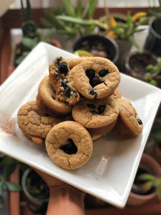 Banana-Blueberry Protein Muffins